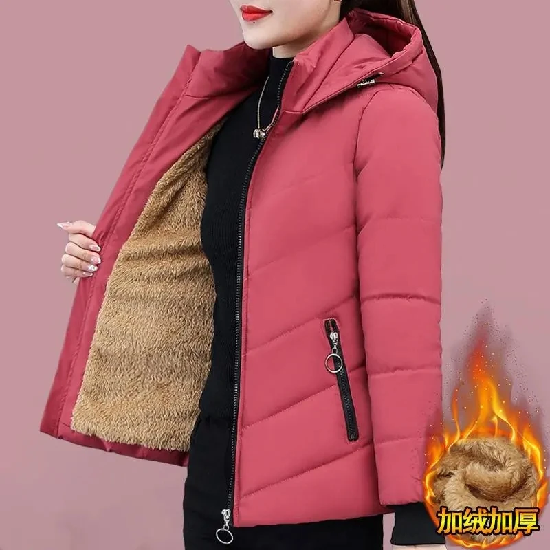 Women'S Short Winter Lambswool Down Cotton Jacket 2025 New Plus Velet Warm Cotton Coat Korean Loose Hooded Parkas Outerwear