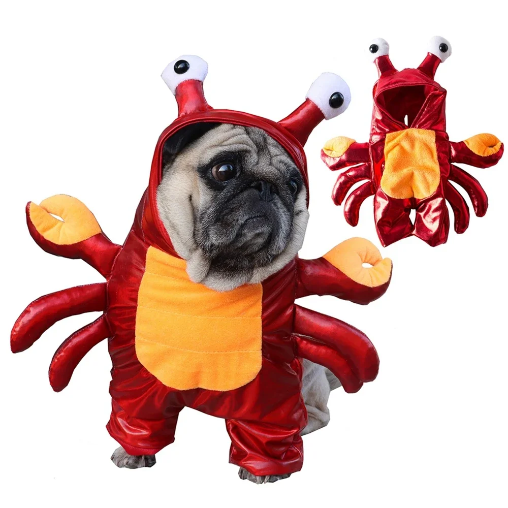 Ropa de Halloween para perros, disfraz de Halloween exclusivo de dos patas para perros pequeños/gatos, divertido disfraz de cangrejo rojo