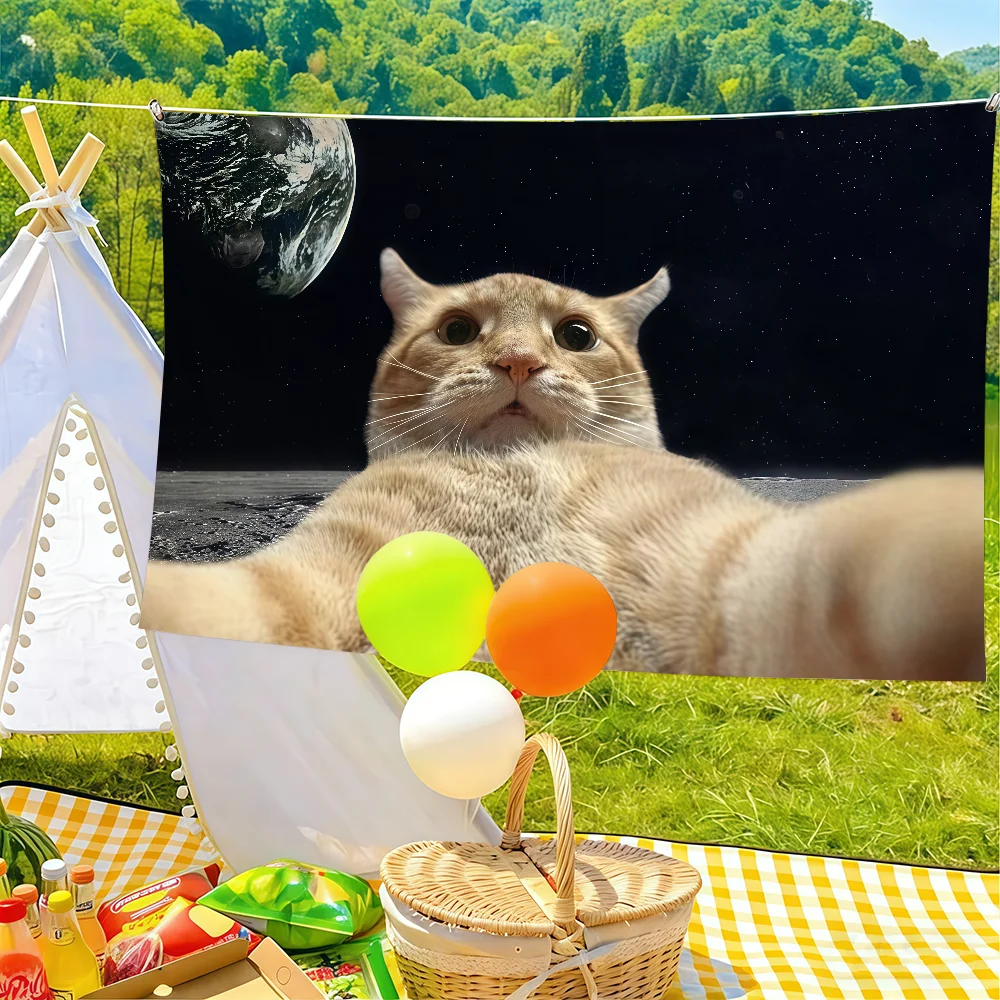 Funny Silly Cat Meme Flag Suitable For Birthday Parties Living Room Bedroom And Outdoor Camping Decorations
