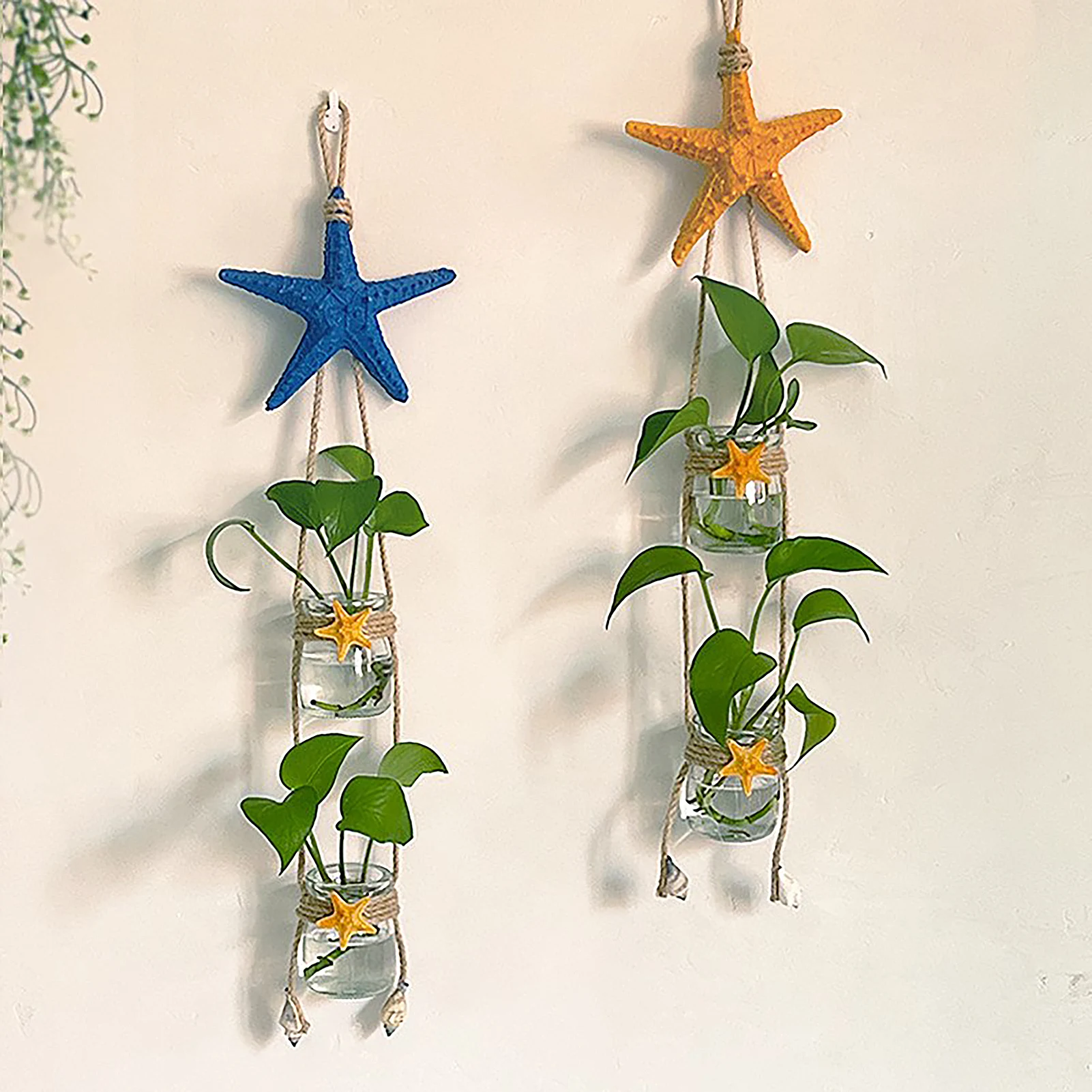 

Starfish Double Cup Hydroponic Vase Set of 2 Water Culture Flower Pot Wall Decor for Living Room Dining Room Hydroponic Plants