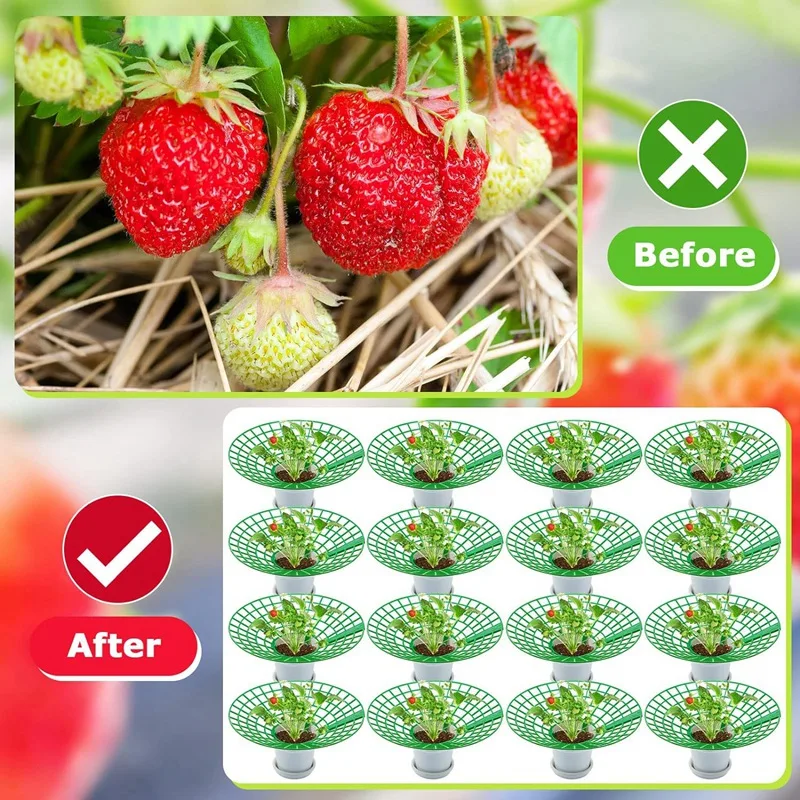 Strawberry Stand Frame Holder Balcony Planting Rack Plant Flower Climbing Pillar Gardening Stand 20PCS