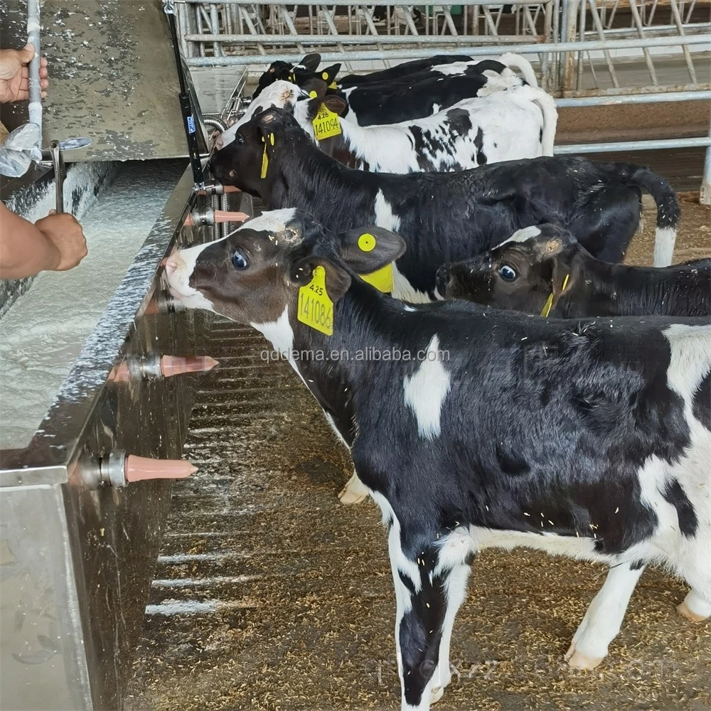Multi-teat Calf Feeder Round Calves Milk Feeder Automatic Heated Stainless Steel Calf Nursing Machine For Dairy Farm