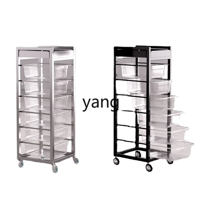 

CX Storage Rack Multi-Functional Hair Stylist Ironing and Dyeing Cart for Hair Salon