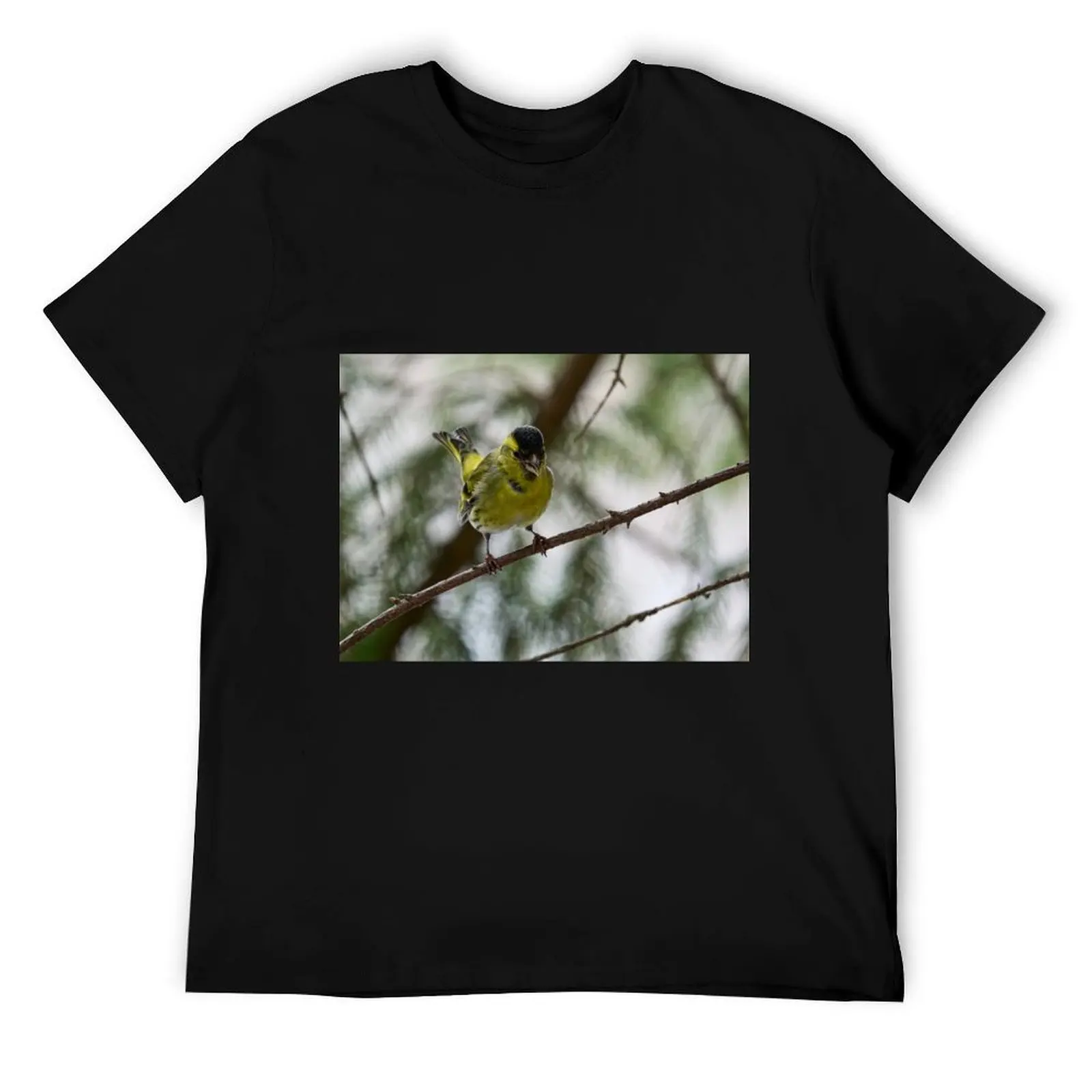 

Tweeting Siskin T-Shirt t shirts for man cotton t shirt men 100% cotton luxury brand T-Shirt
