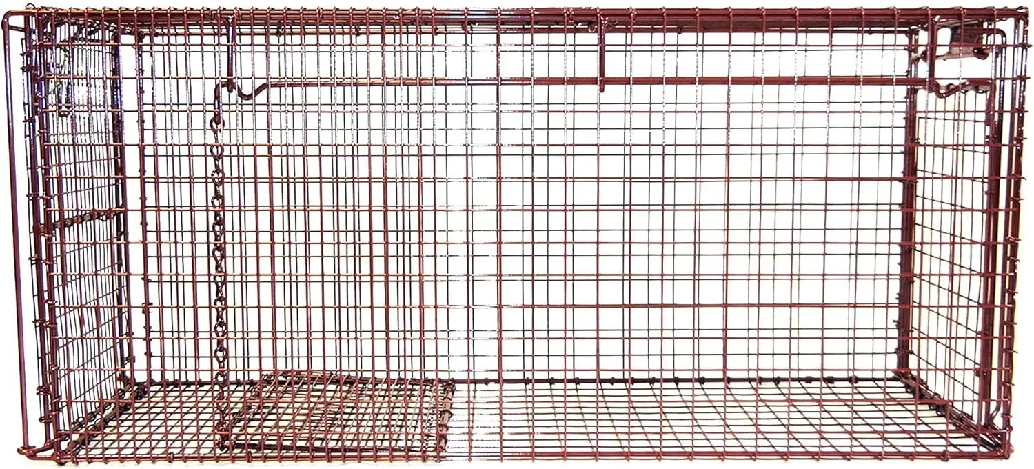 Humane Live Animal Trap - Easy & Safe Catch & Release Animal Trap for Cats, Rabbits, & Other Small Animals - Durable