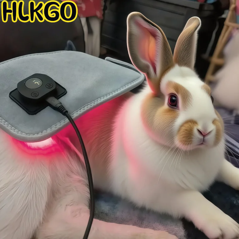 

Устройство для холодной лазерной терапии для собак, кошек, инфракрасная светотерапия, пояс для терапии красным светом для облегчения боли в суставах