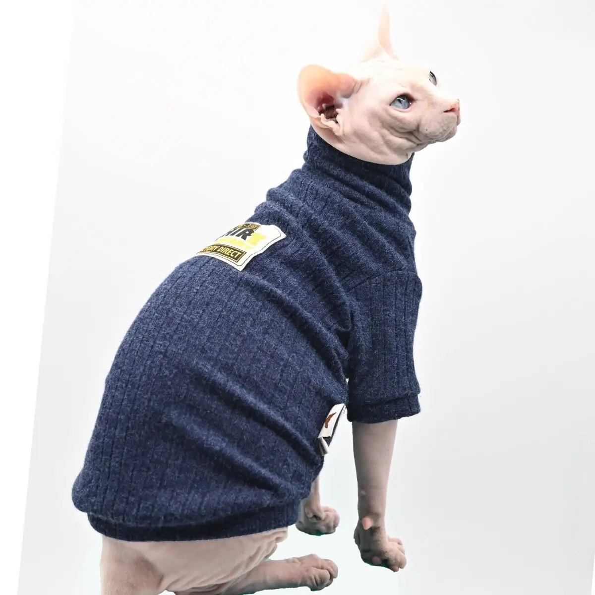 Hairless Cat Clothes High End Snow Velvet Soft Pill Free Anti Static Backing Shirt