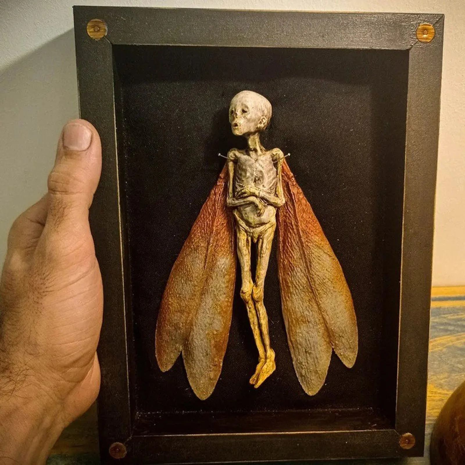 

Hot New Cursed Items Dead Shadow Box Display Handmade Creepy Mummified Corpse Art Ornament