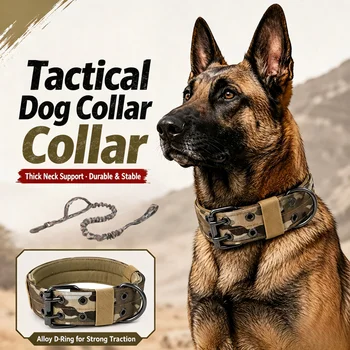 Padded Tactical Dog Collar 1