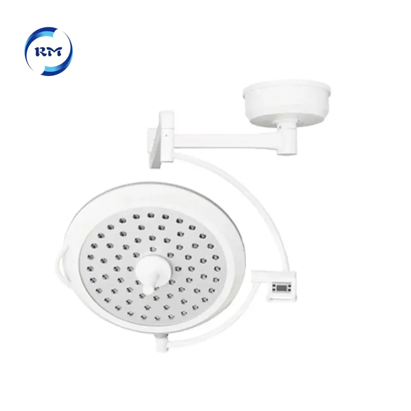 Ceiling 700/500 Shadowless Surgery  Wall-type Led Shadowless Examination Light Medical Lamp For Hospital Clinic Operating Room