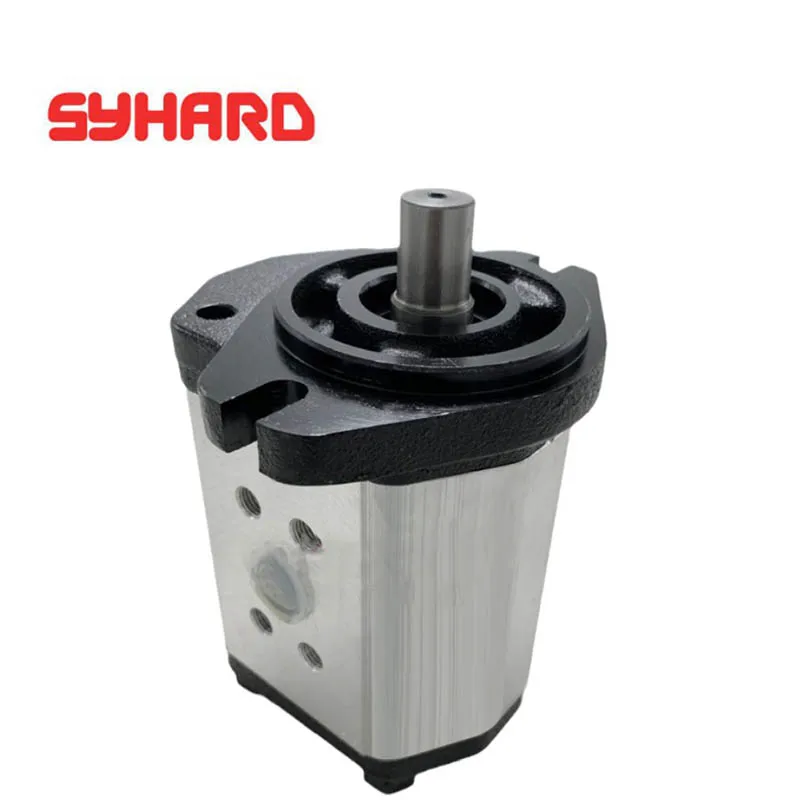 

Gear Pump BHP2.5A1D45C2F1 D14 D16 D18 D20 D25 D28 D30 D36 40C2F1