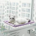 Pruple