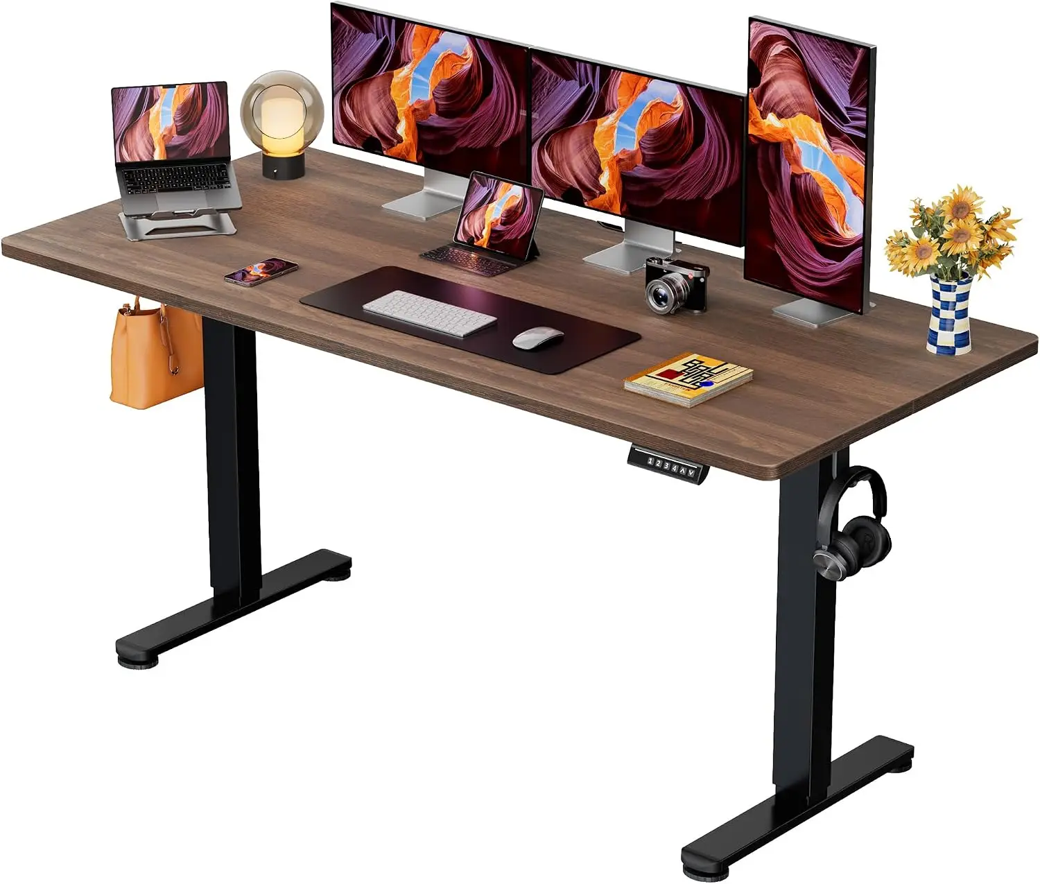 ErGear 48 X 24 Inch Height Adjustable Electric Standing Desk, Black