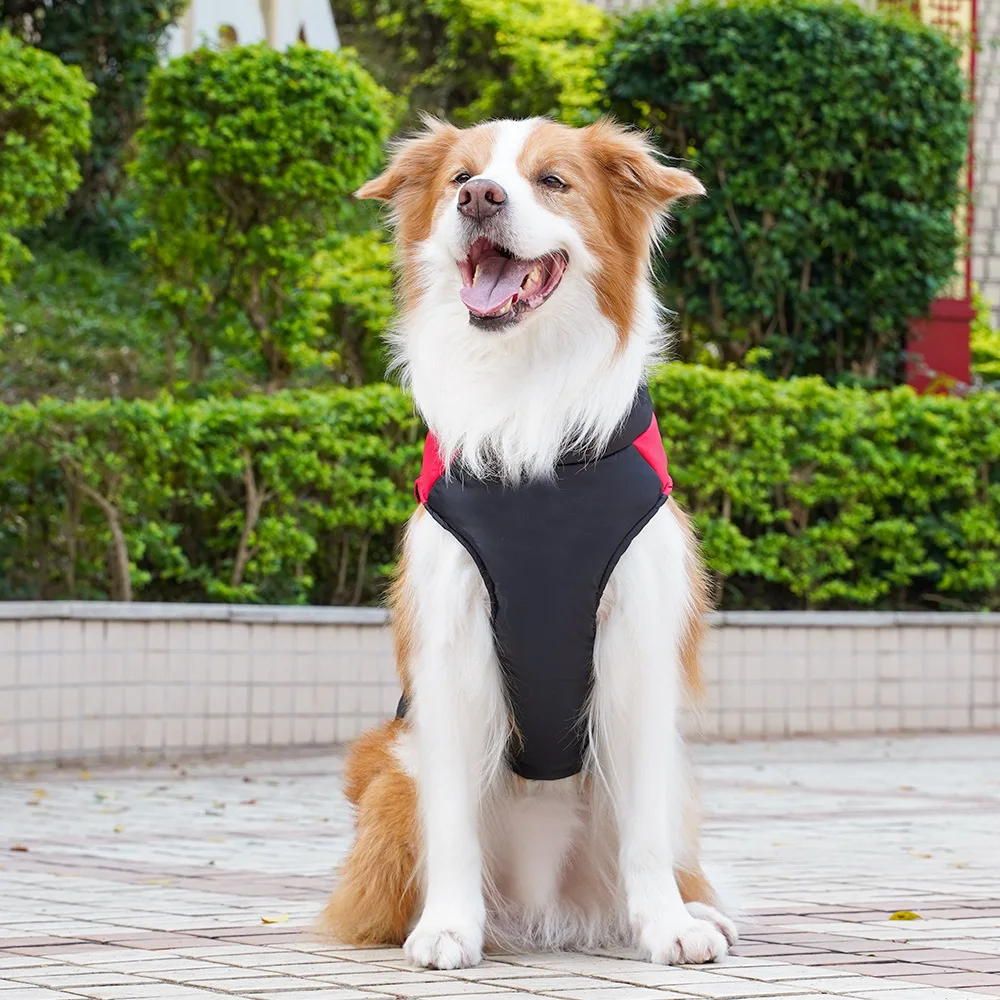 Roupas de inverno para cães, colete acolchoado para cães pequenos e grandes, roupas para caminhada ao ar livre, golden retriever, roupas para animais de estimação, acessórios para cães