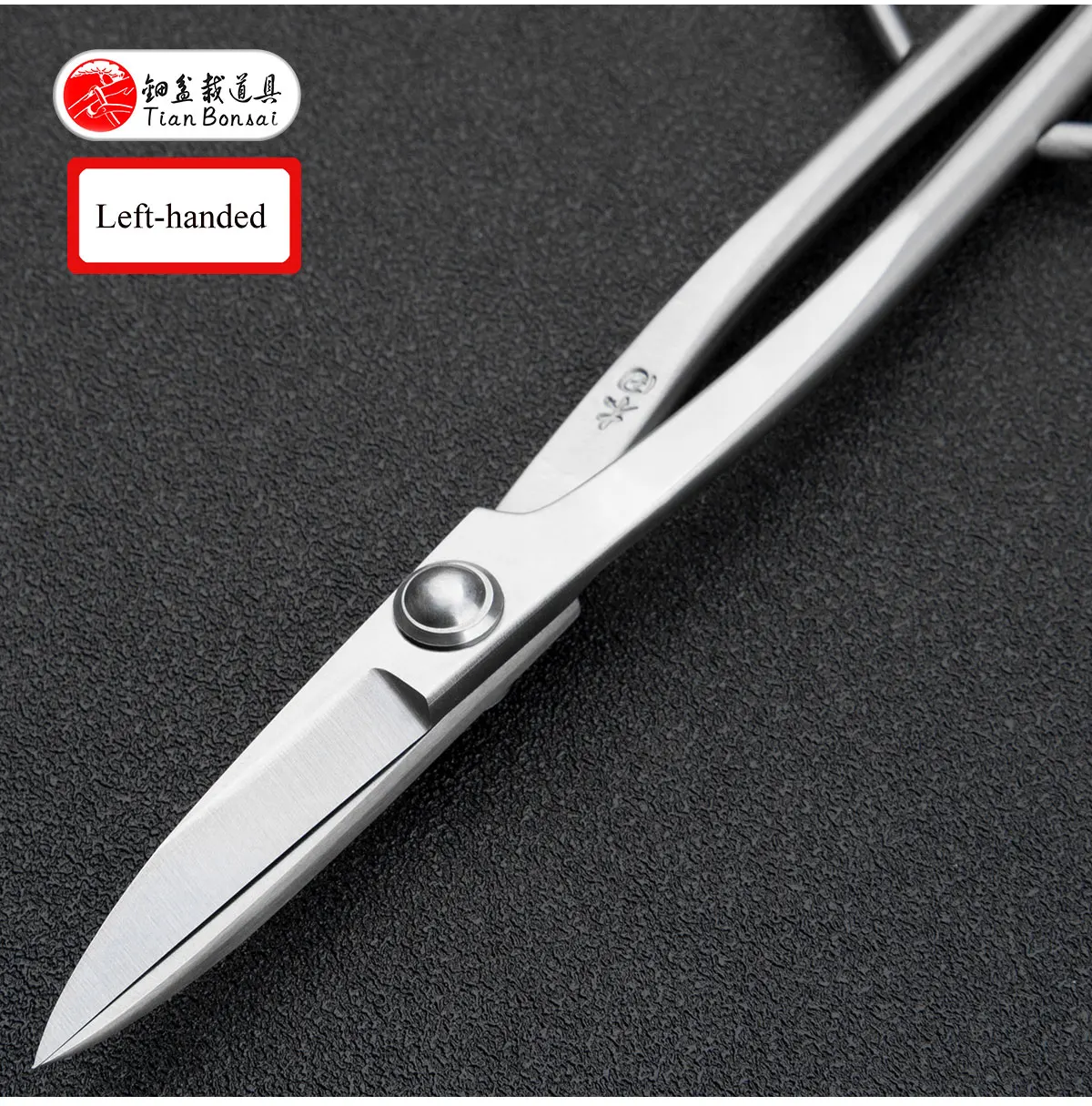 Material-Upgrade: Professionelle 210 mm lange Schere aus 5Cr15MoV-Legierungsstahl, Bonsai-Werkzeuge von TianBonsai – Detail 12