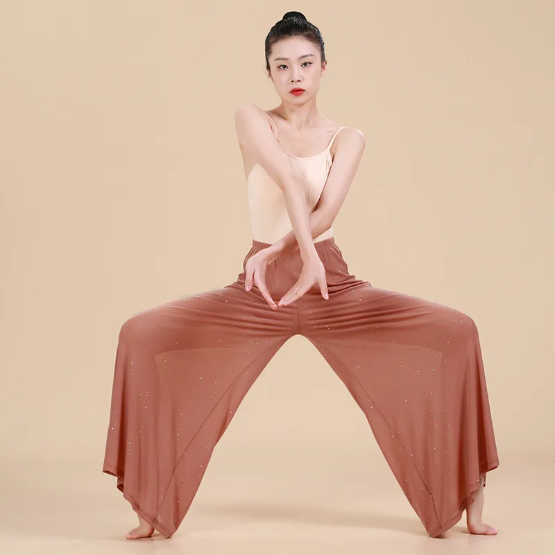 

Modern Dance Pants Chinese Dance Classical Dance Practice Suit Loose Silver Wide Leg Pants Performance Body Suit