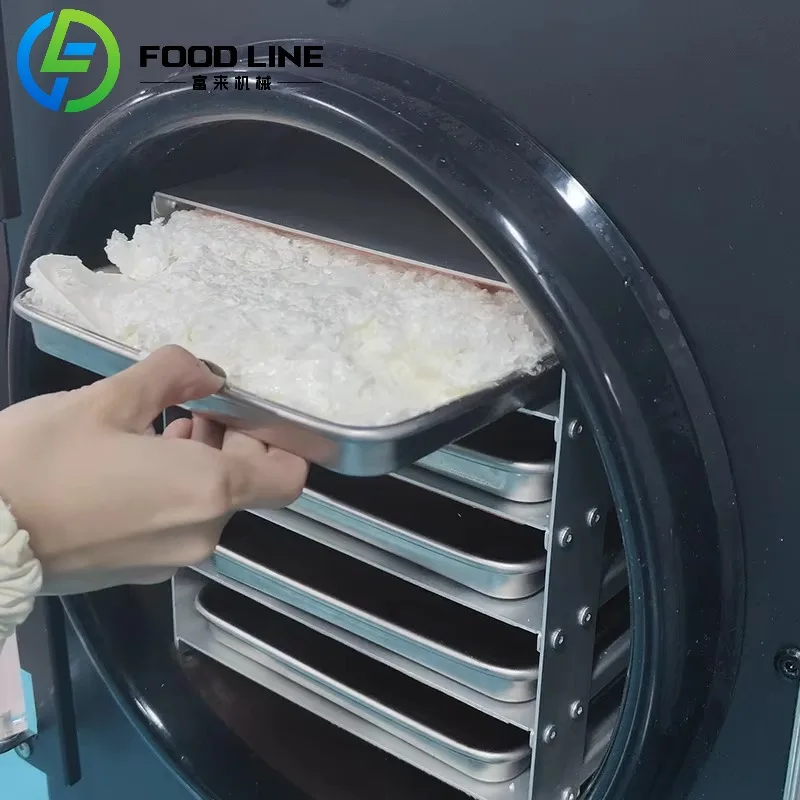 Piccola macchina per liofilizzare la casa Frutta liofilizzata Verdura Caffè Liofilizador Attrezzatura per liofilizzazione in vendita