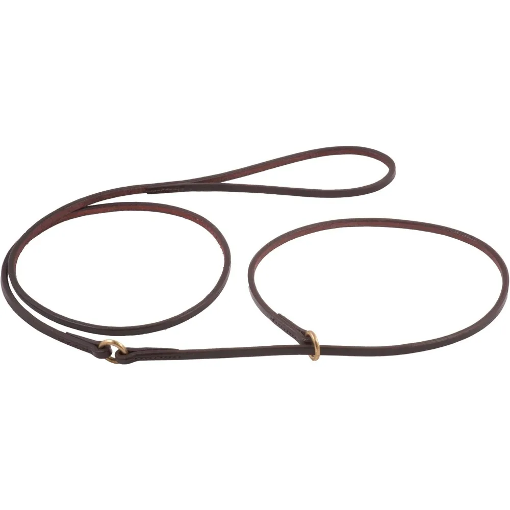 مجموعة مقود وأطواق جلدية متينة للكلاب - مريحة وسهلة الاستخدام - رصاص متكامل للانزلاق للكلاب #4