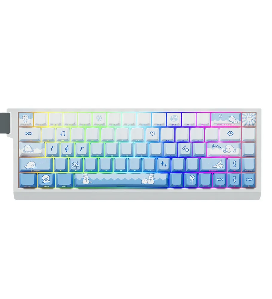 Snowflake seal keycap original PBT side engraved light transmission adaptation magnetic axis mechanical keyboard wooting60he