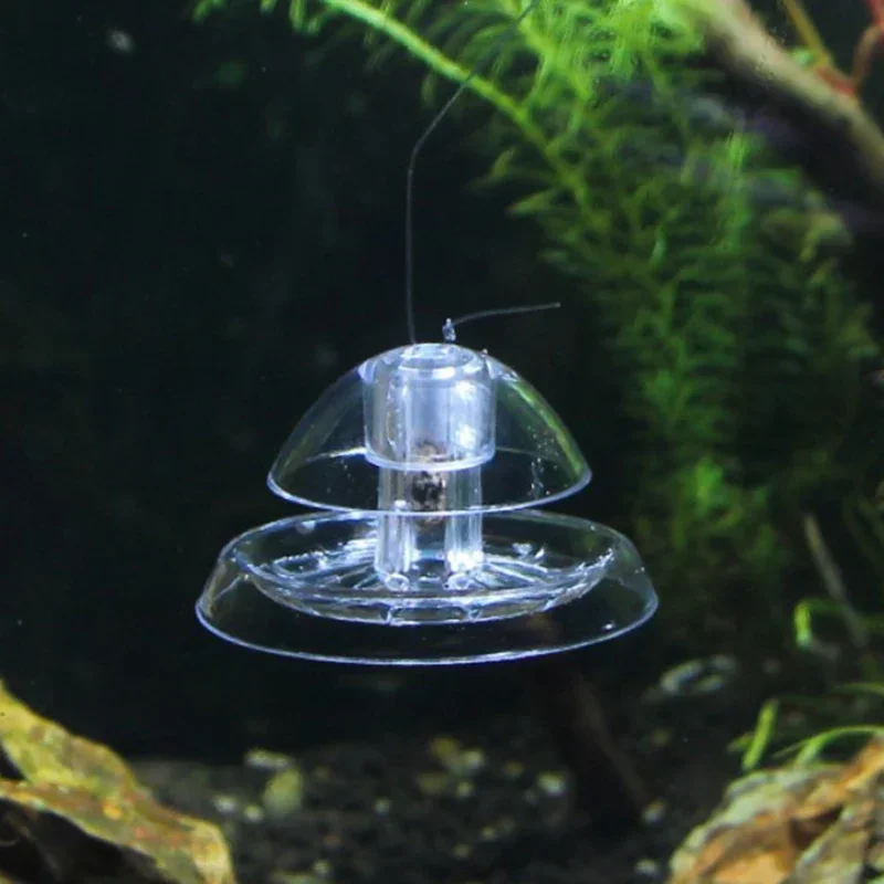 Aquarium Snail & Pest Trap – Plastic Catch Box for Planaria, Leeches & Algae Clean-Up