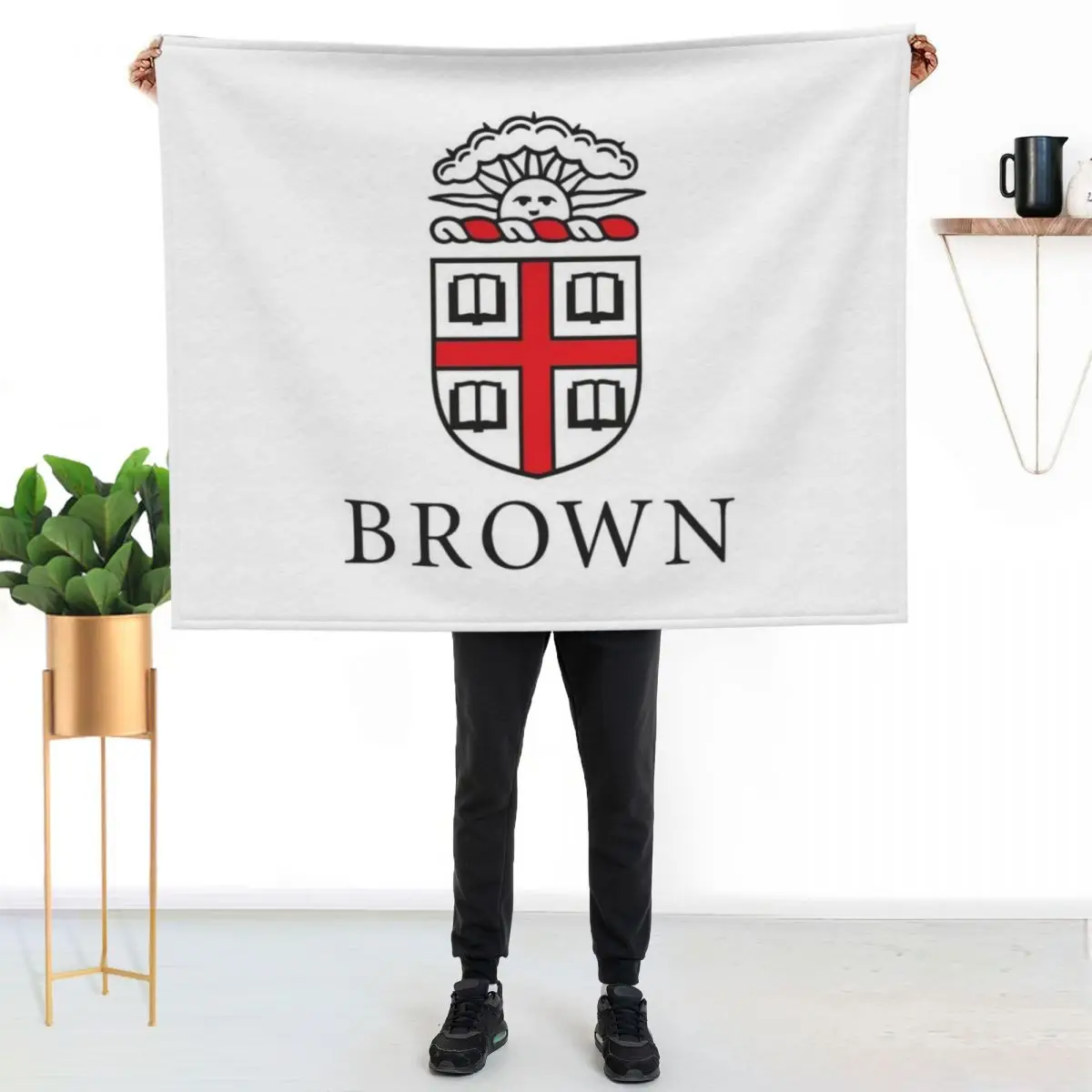

brown university Throw Blanket Wrinkle Resistant Lightweight Blanket