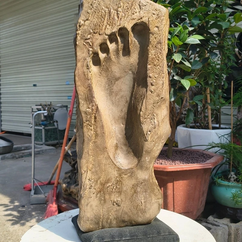 

Pure natural rough stone rare stone ornament ornamental stone collection