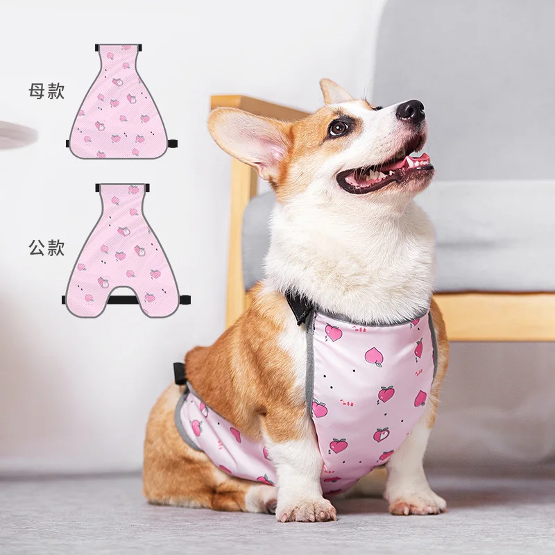 

Japan Korea Summer Thin Outdoor Dog Belly Pocket Corgi Dog Belly Protection Against Cold Waterproof Rain Mat Dog Clothing