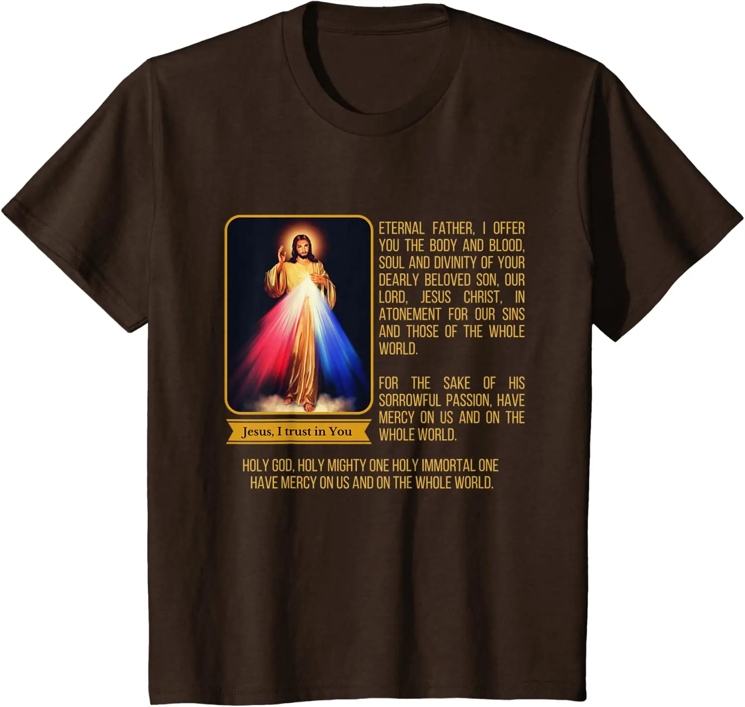 Divine Mercy Jesus Image Chaplet Prayer Catholic T-Shirt