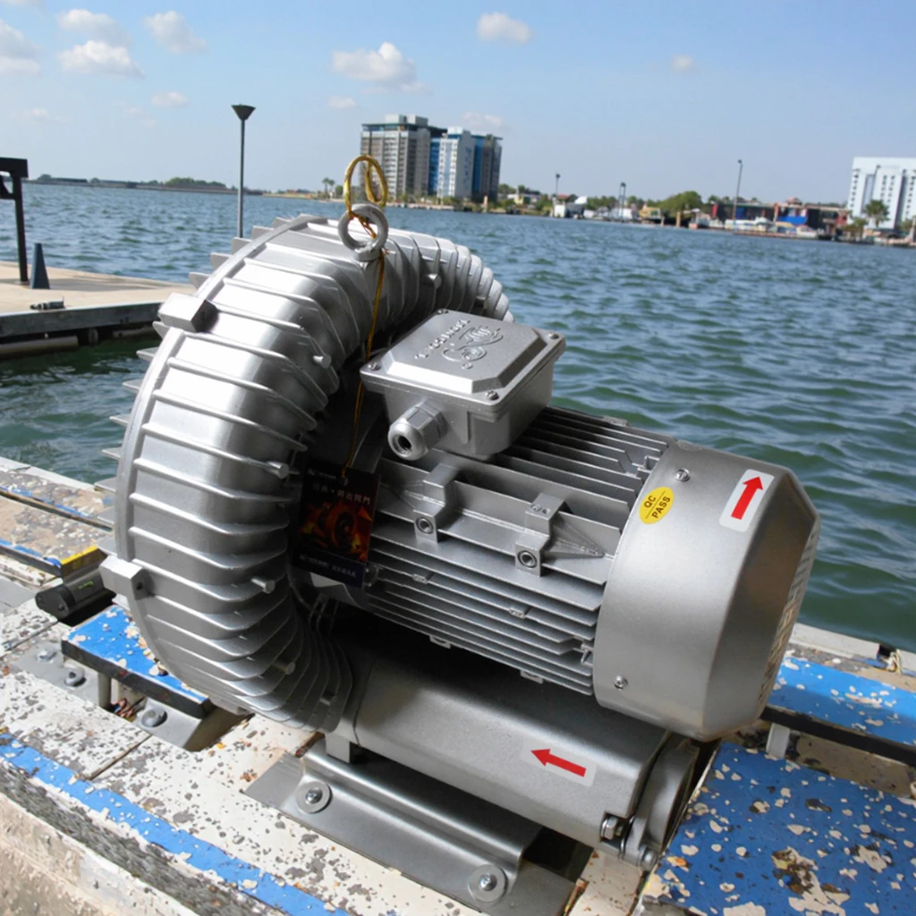 High Energy Efficiency Three Phase Vacuum Blower 3Kw 50Hz for Swimming Pool Suction