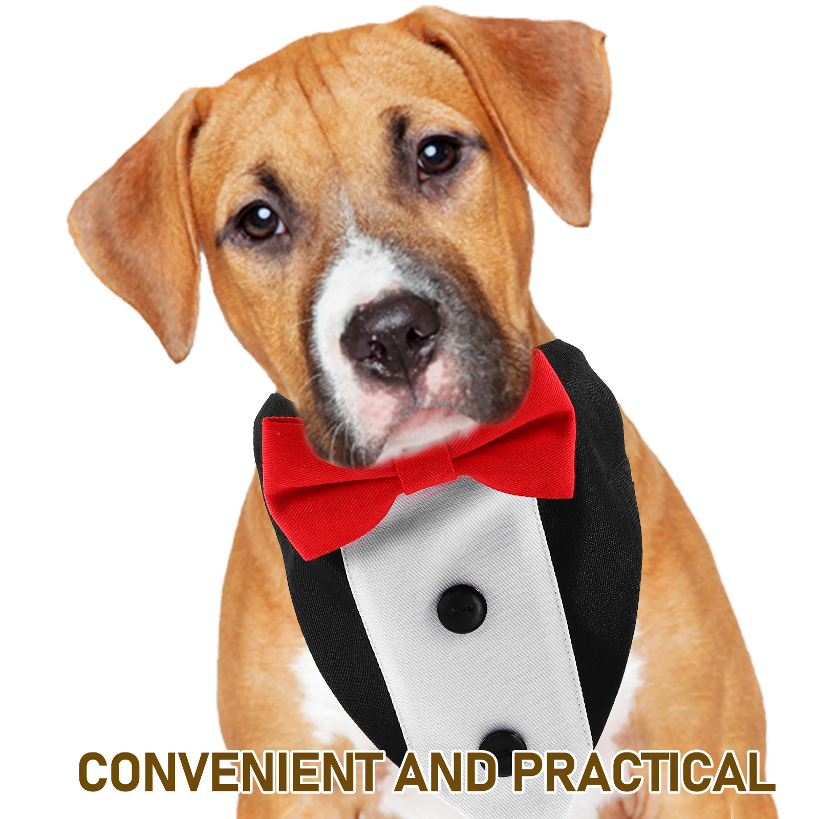 وشاح مثلث للحيوانات الأليفة، نمط منقوش، مادة ماصة، ملابس للكلاب، مريحة تناسب مقاسات مختلفة للحفلات والاستخدام اليومي