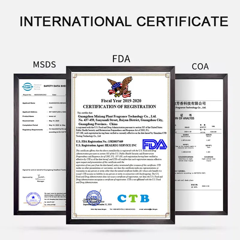 Natuurlijke Aromatherapie Olie Luchtbevochtiger Diffuser Essentiële Oliën Set Lavendel Wierook Pepermunt Rose Rozemarijn Lucht Fris Parfum