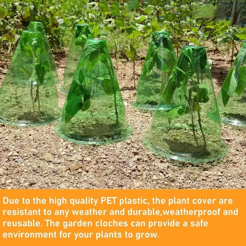 12PCS Bird Frost and Snail Damage Growth Box Plastic Transparent Planting Tent Guard Plant Vegetable Seedling Protection Cover