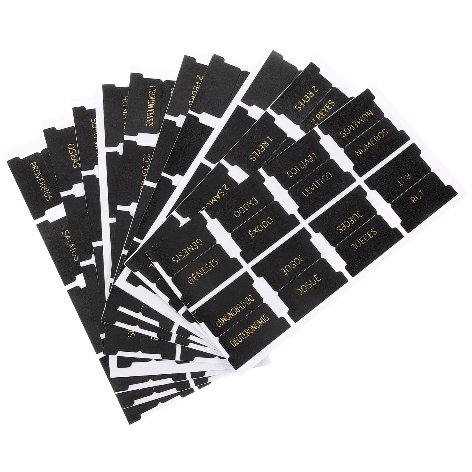 

80 Pcs Bible Labels Tabs for Men Women Study Index Book Dividers 66 Old New Testament 14 Blank DIY PU Practical Safe