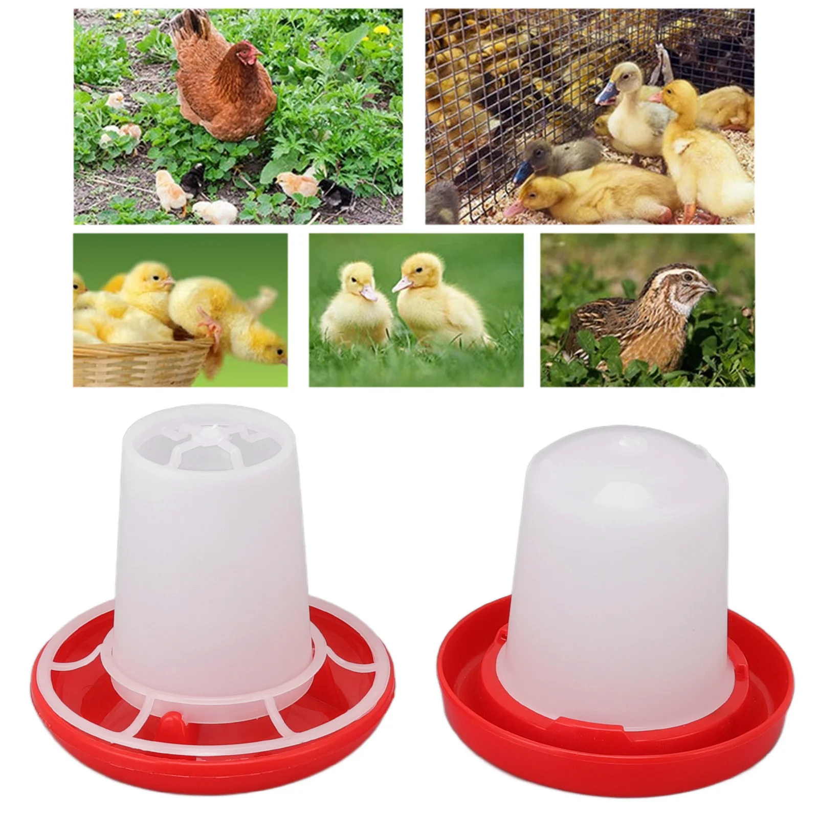 Chick Feeder and Waterer Kit Rotary Sleeve Design Automatic Feeding and Watering Poultry Feeder and Waterer Combo Poultry Feeder