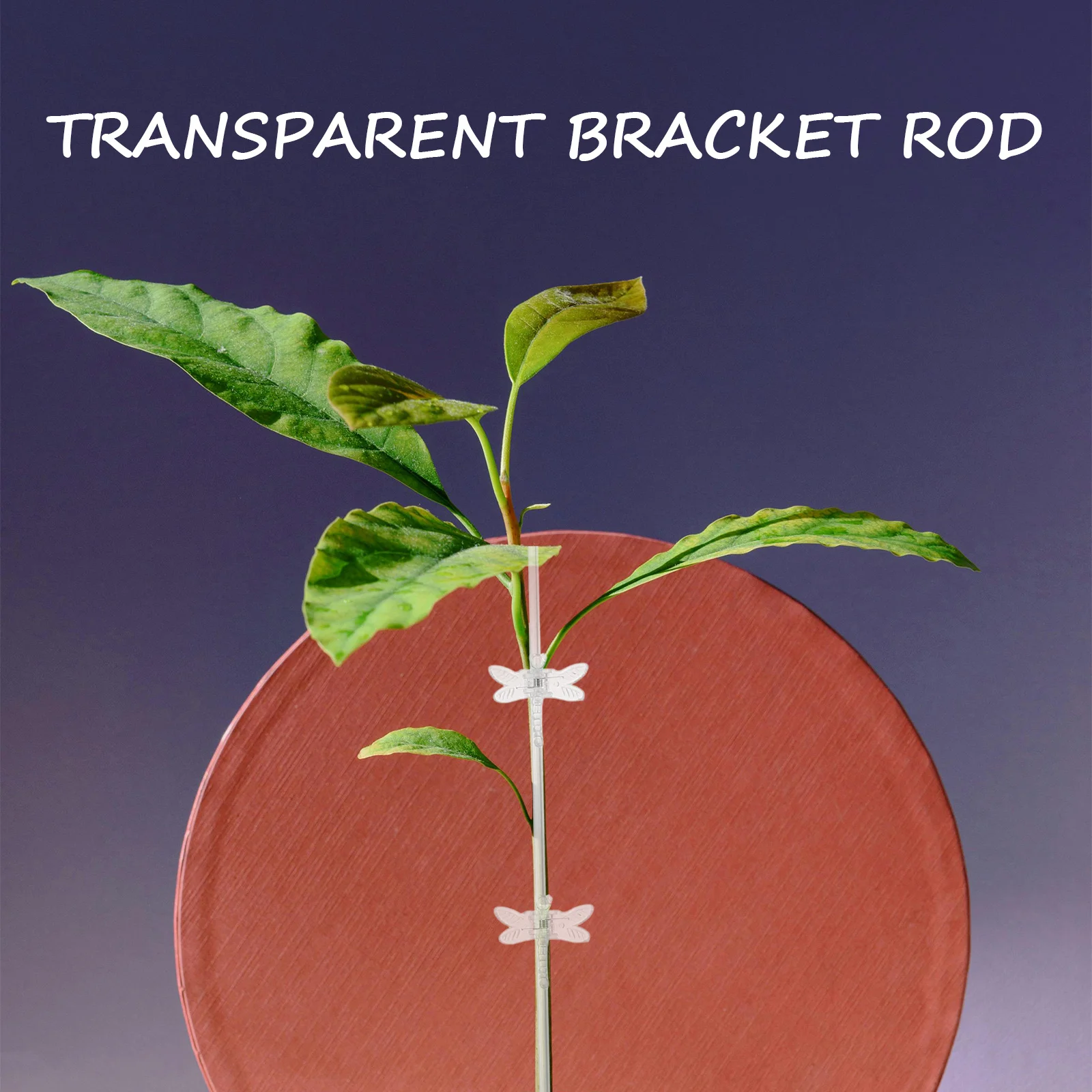 

1Set Transparent Plastic Plant Stakes Support Pole Easy Installation Durable Stem Support for Climbing Plants