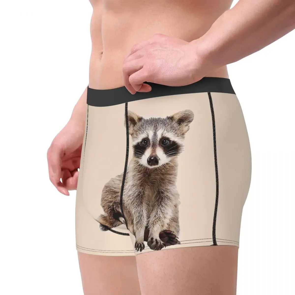 A Little Raccoon Sits Funny And Looks At You Underpants Homme Panties Male Underwear Sexy Shorts Boxer Briefs