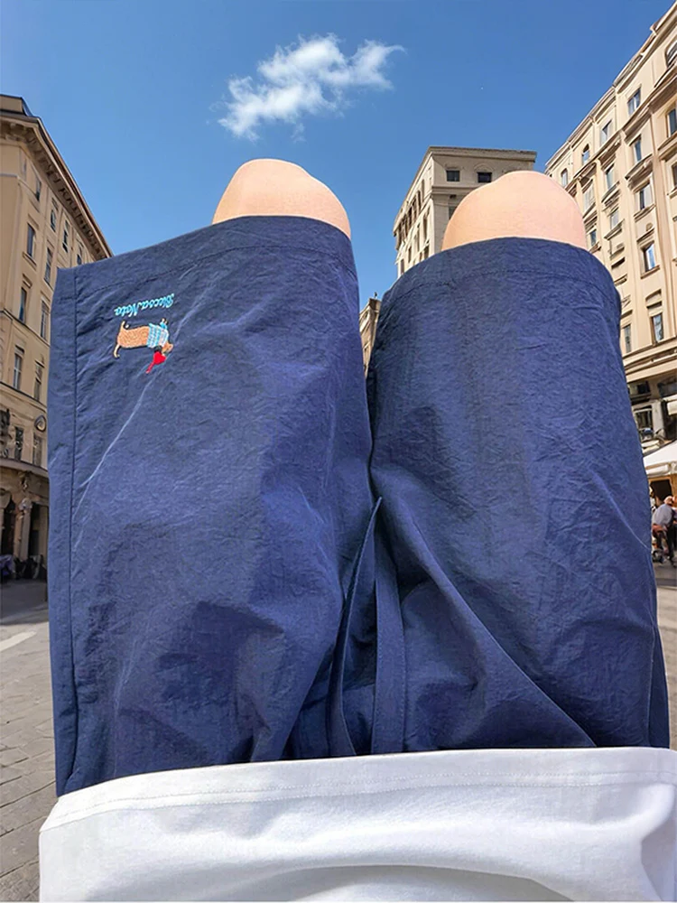 

Мужские летние повседневные брюки из ледяного шелка с эластичным поясом, вышивкой таксы и прямым кроем, дышащие