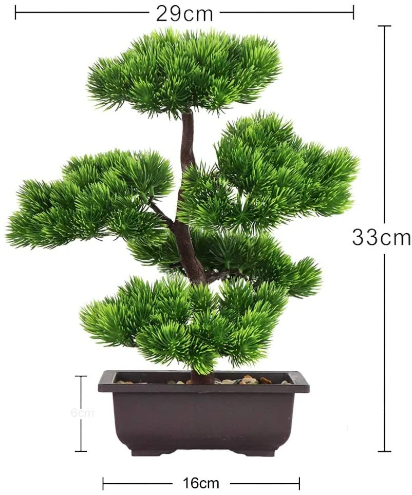 Japanese Pine Bonsai Plant for Home Decoration, Potted House Plants, Desktop Display, 33 cm in Height