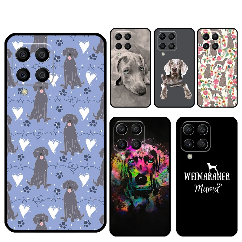 Weimaraner Dog For …