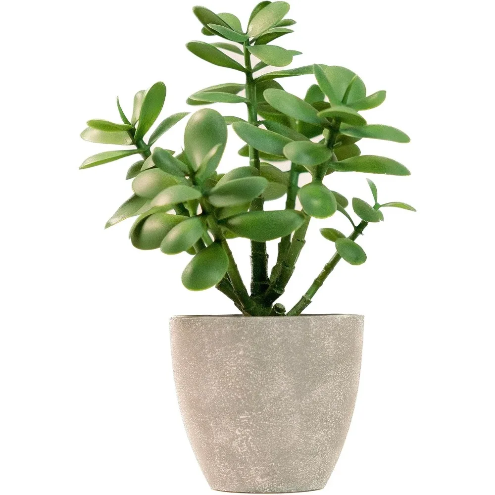 

Artificial Potted Jade Plant 12 inch, Luxury Faux Succulent Plant for Home Decor, Office Decor, Money Tree