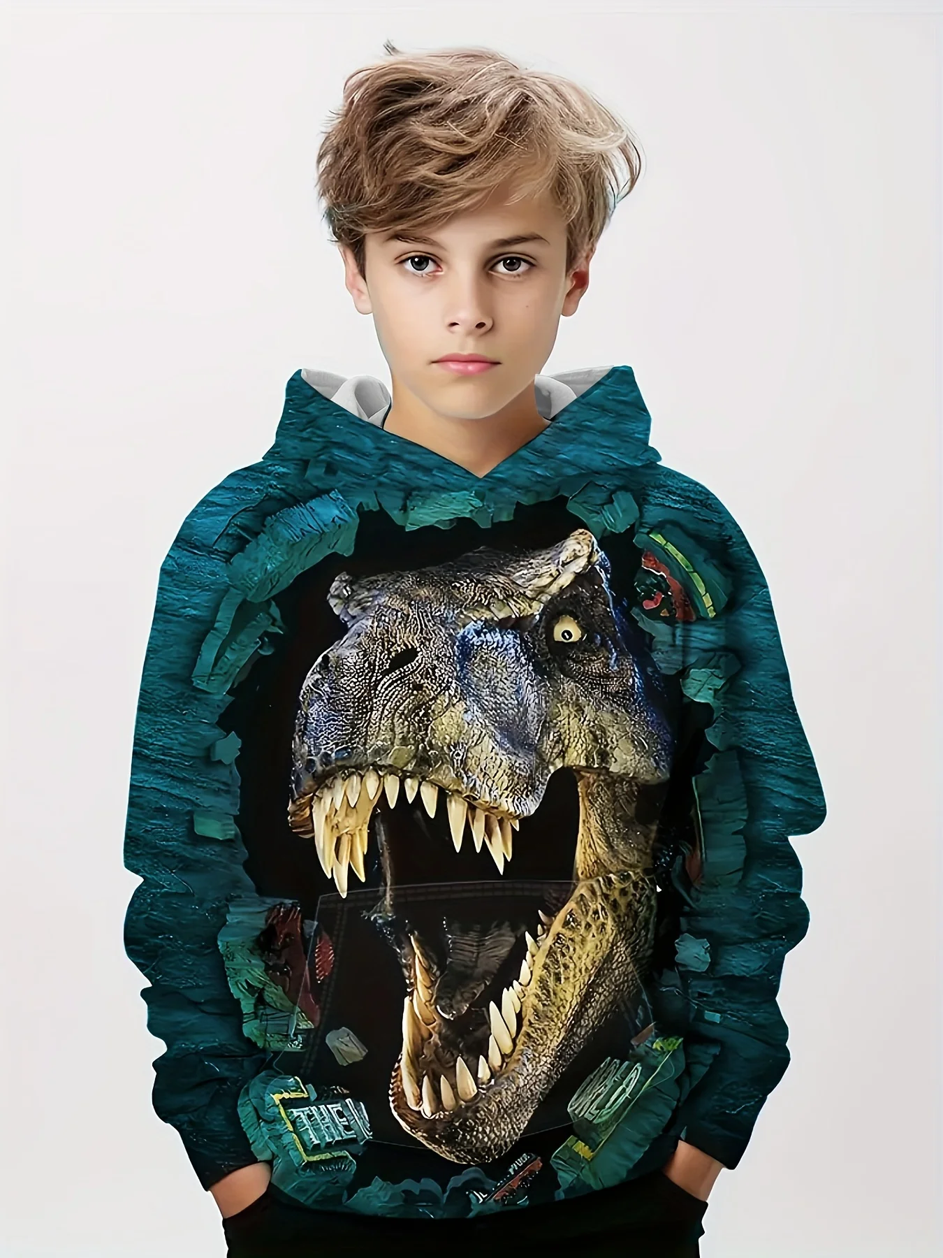 Hoodies Animal Dinosaur Pattern 3D Print Sweatshirts Boys Girls Harajuku Hooded Sweatshirt kids Fashion Coat Children Tracksuits
