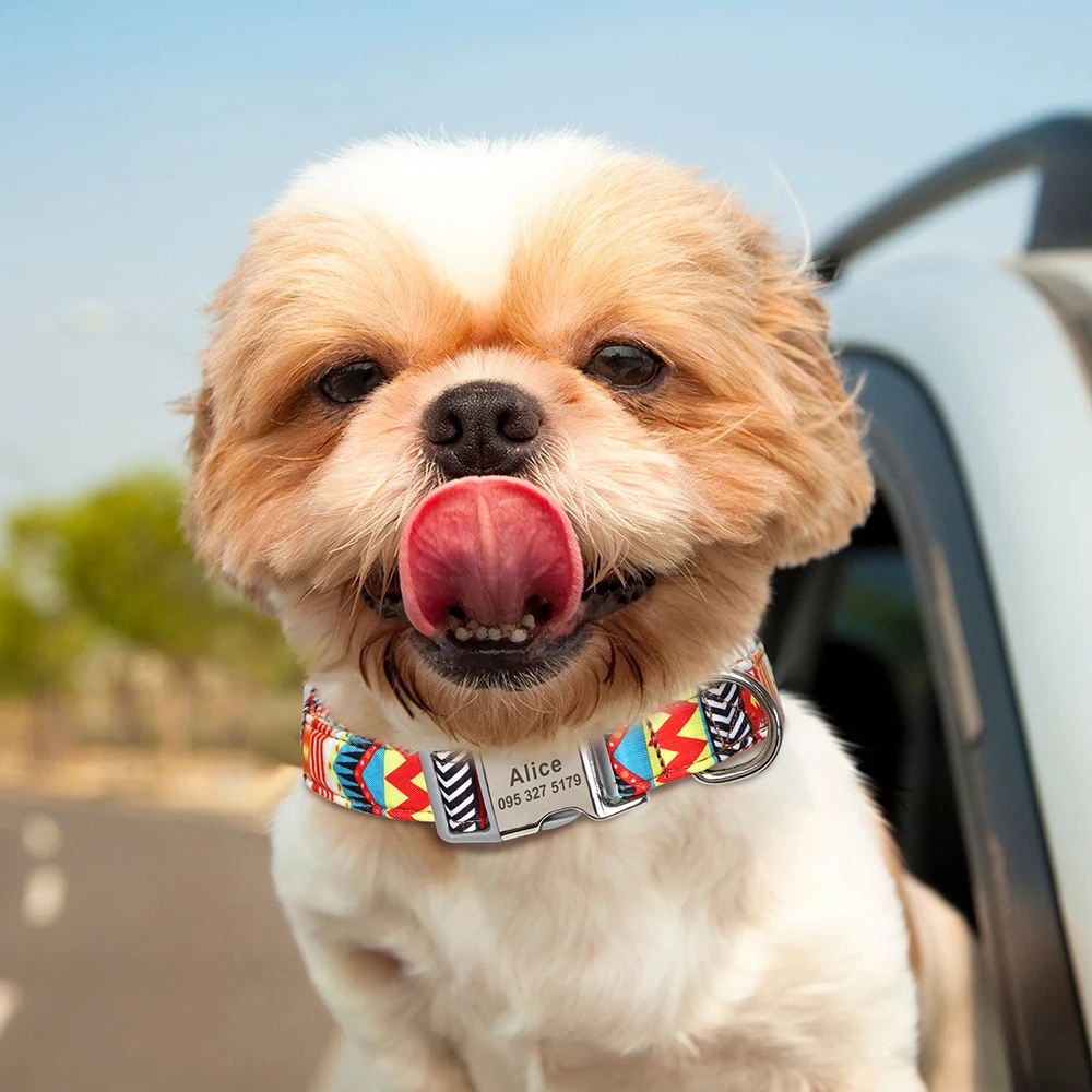 Collar de nailon personalizado para mascotas, hebilla de placa de etiqueta de identificación grabada, para perros pequeños, medianos y grandes,