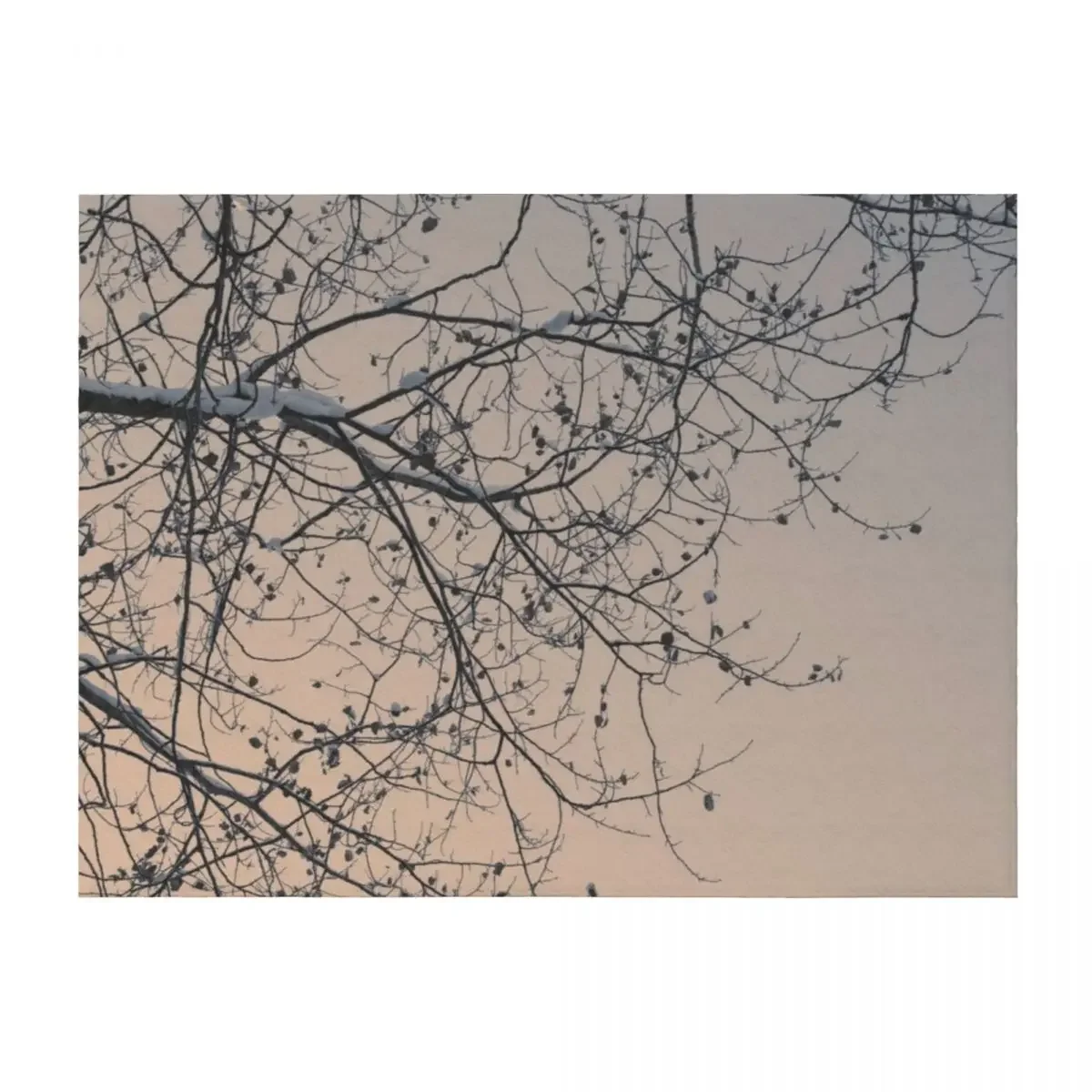 

Snowy branches Throw Blanket Beautifuls For Decorative Sofa Sofa Bed Blankets