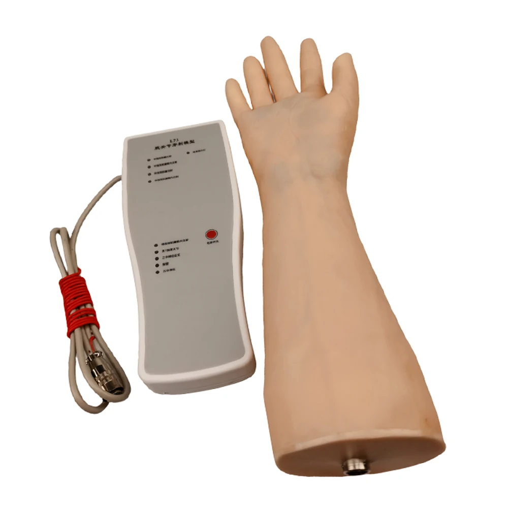 Electronic Wrist Joint Puncture Model Medical Intra-articular Injection Teaching Hand Simulator