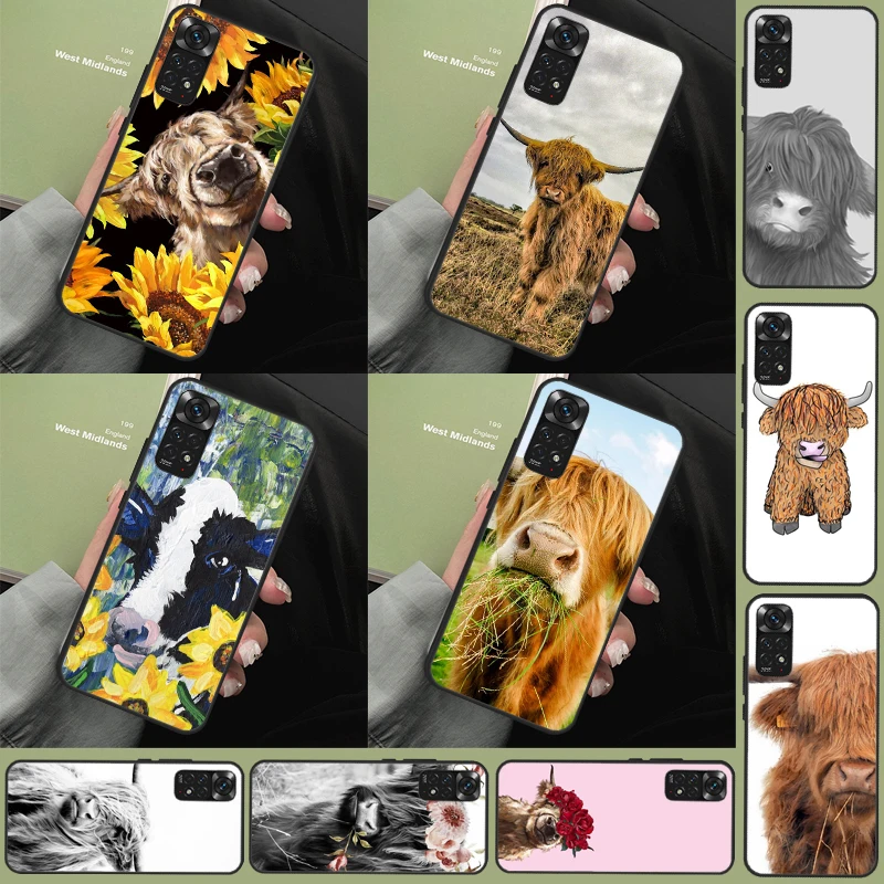 Cute Highland Cow F… - image