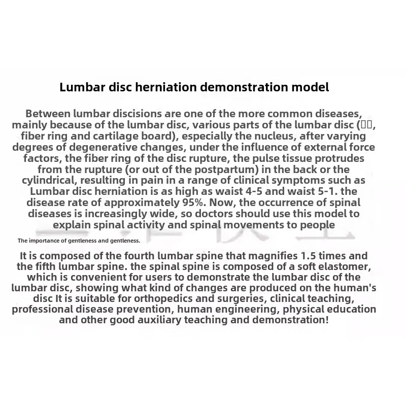 فتق القرص بثق العمود الفقري والعمود الفقري ، نموذج عرض القرص القطني ، نموذج العمود الفقري القطني منتج جديد #6