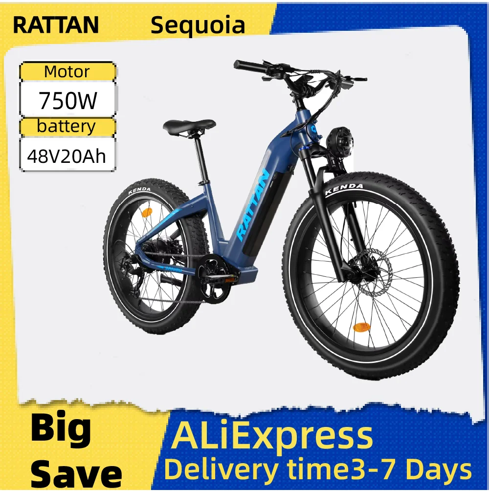 

RATTAN Sequoia 48V20Ah Battery Adult electric bike 750W Motor City ebike 26 inches fat tire E-Mountain bike