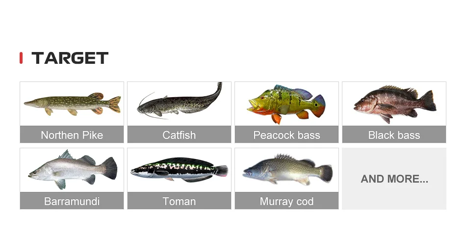 Noeby Hecht Angelrute 1,98 m 2,13 m 2,44 m 2,59 m Fuji Toray Carbon Casting Spinning Big Baits Power Wels Hecht Angelruten – Detail 4