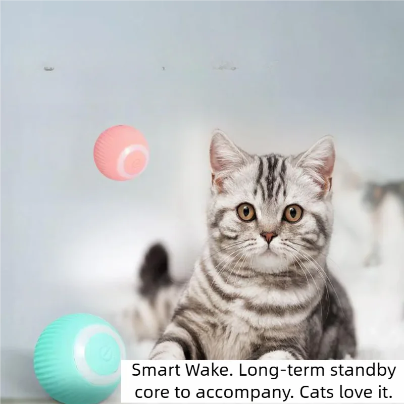 ألعاب القطط الذكية، كرة دوارة  - مراجعة Power Tools Cat وسعره