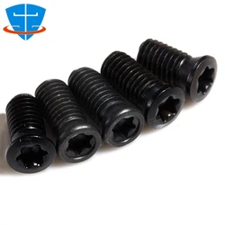 High Precision M2 M2.2 M2.5 M3 M3.5 M4 M5 Alloy Steel SCM435 Torx Plum Screw Turning Tool Holder CNC Lathe Cutting Insert Bolt